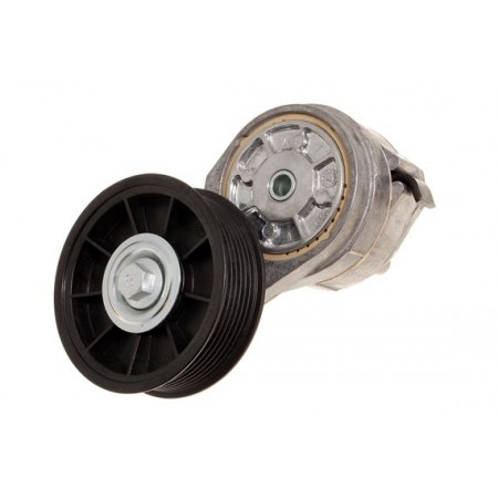 ERR6439-Land Rover-Ролик-натяжитель приводного ремня D2/RRP38-0