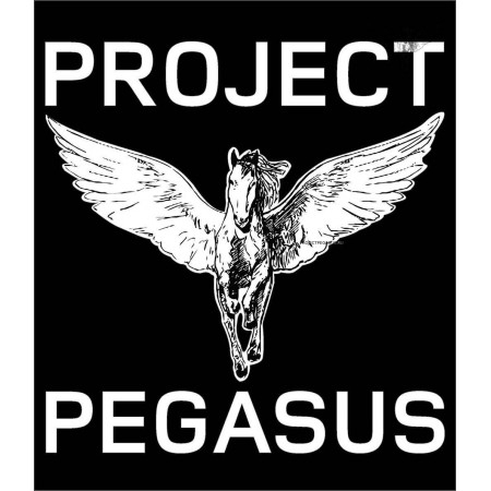 PN21 Наклейка Project Pegasus big"" PJP - 1