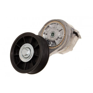 ERR6439-Land Rover-Ролик-натяжитель приводного ремня D2/RRP38-0