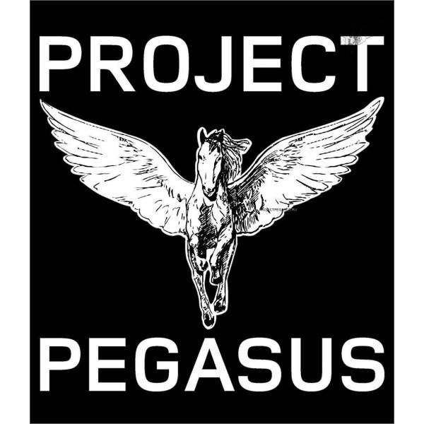 PN21 Наклейка Project Pegasus big"" PJP - 1
