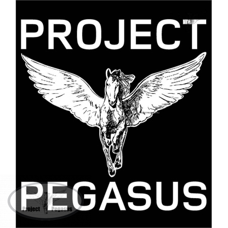 PN21 Наклейка Project Pegasus big"" PJP - 1