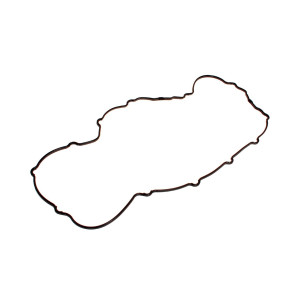 LR007652.B Прокладка клапанной крышки правая 4.4 AJ/4.2 Britpart