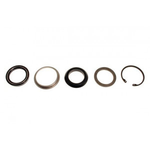 QFW100180 Рем.к-т рулевого редуктора (нижн.) D2 Land Rover - 1